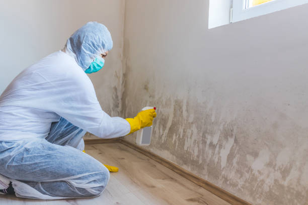Licensed Crawl Space Mold Removal service in Dumfries, VA - WQB Mold Removal