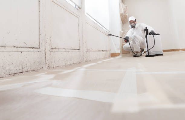 Trusted Crawl Space Mold Removal service in Dumfries, VA - WQB Mold Removal