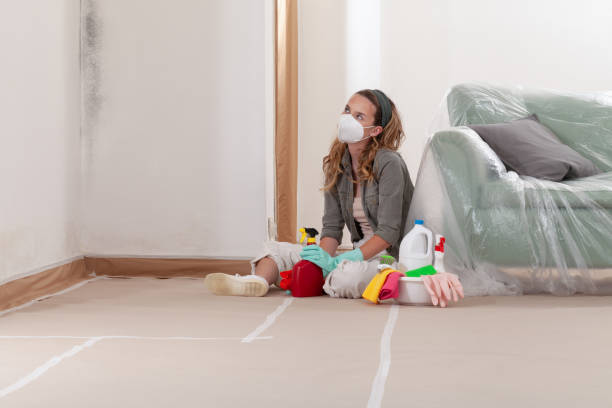 Reliable Crawl Space Mold Removal contractor in Dumfries, VA by WQB Mold Removal