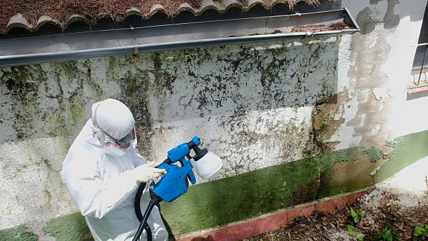 Top rated local Crawl Space Mold Removal specialists in Dumfries, VA
